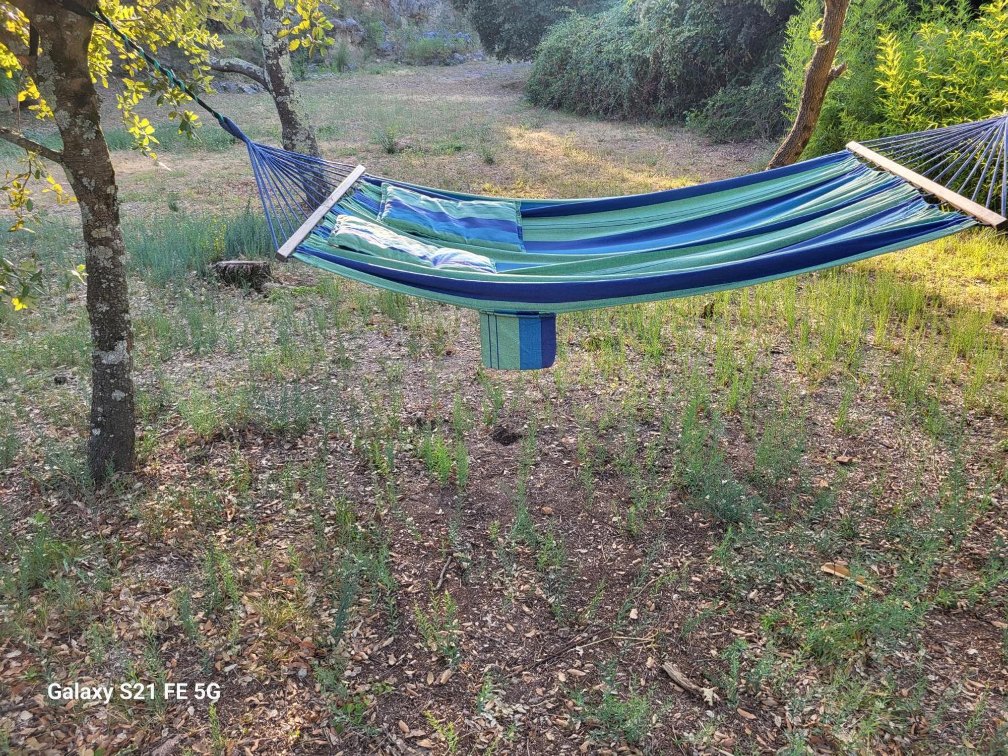 Un écrin de verdure et plus.. Besse-sur-Issole Esterno foto